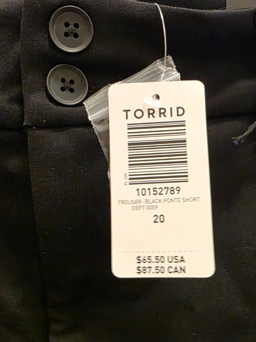 Torrid Studio by Torrid Signature Ponte Stretch Trousers 20 Short (20S) NWT - Picture 4 of 12
